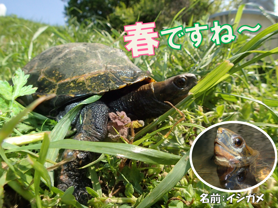 修正