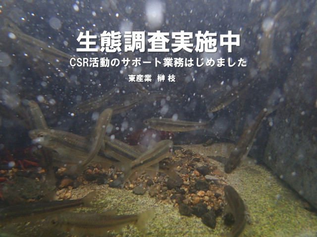 スライド1
