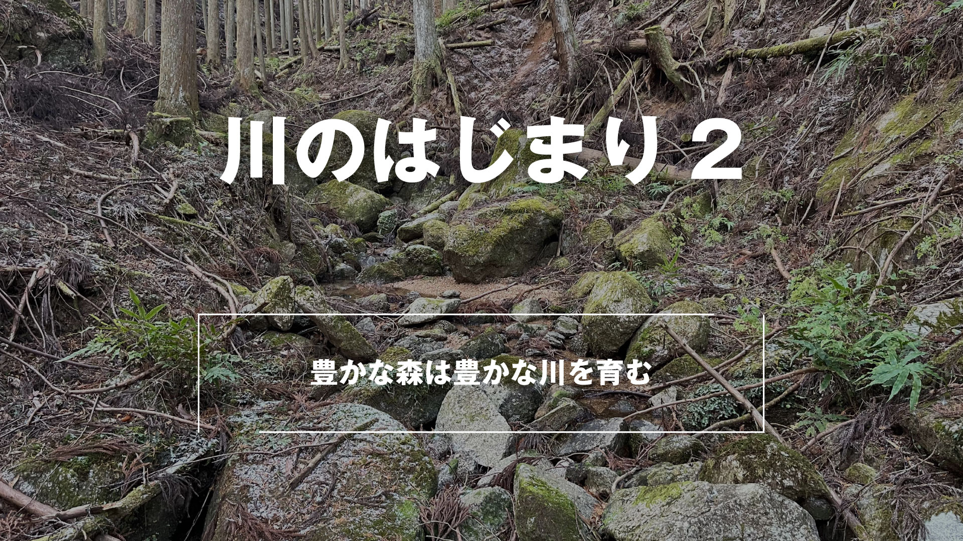 川の始まり画像 | 海を流れる川 アマゾンの河口の先へ – LNVF